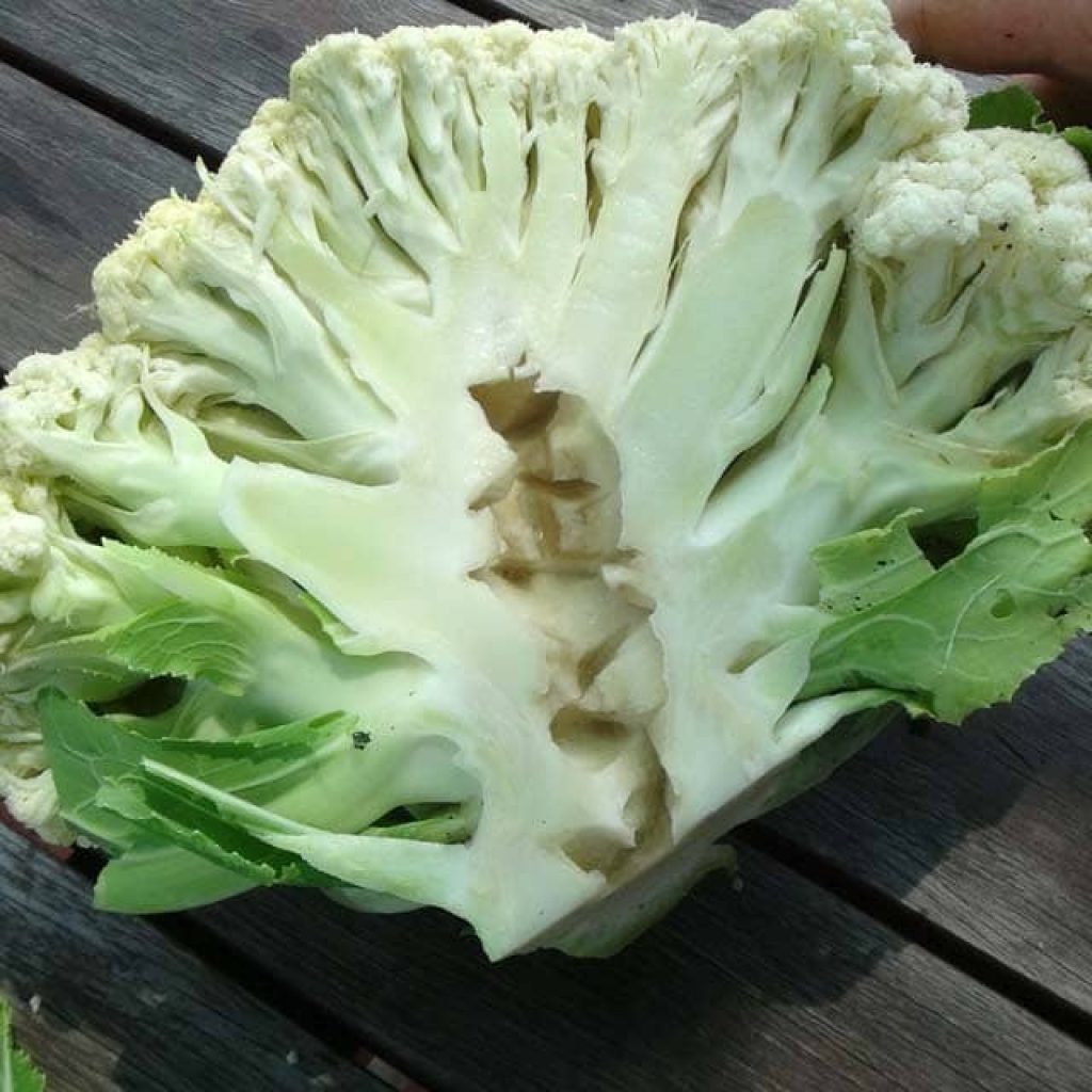کمبود بور