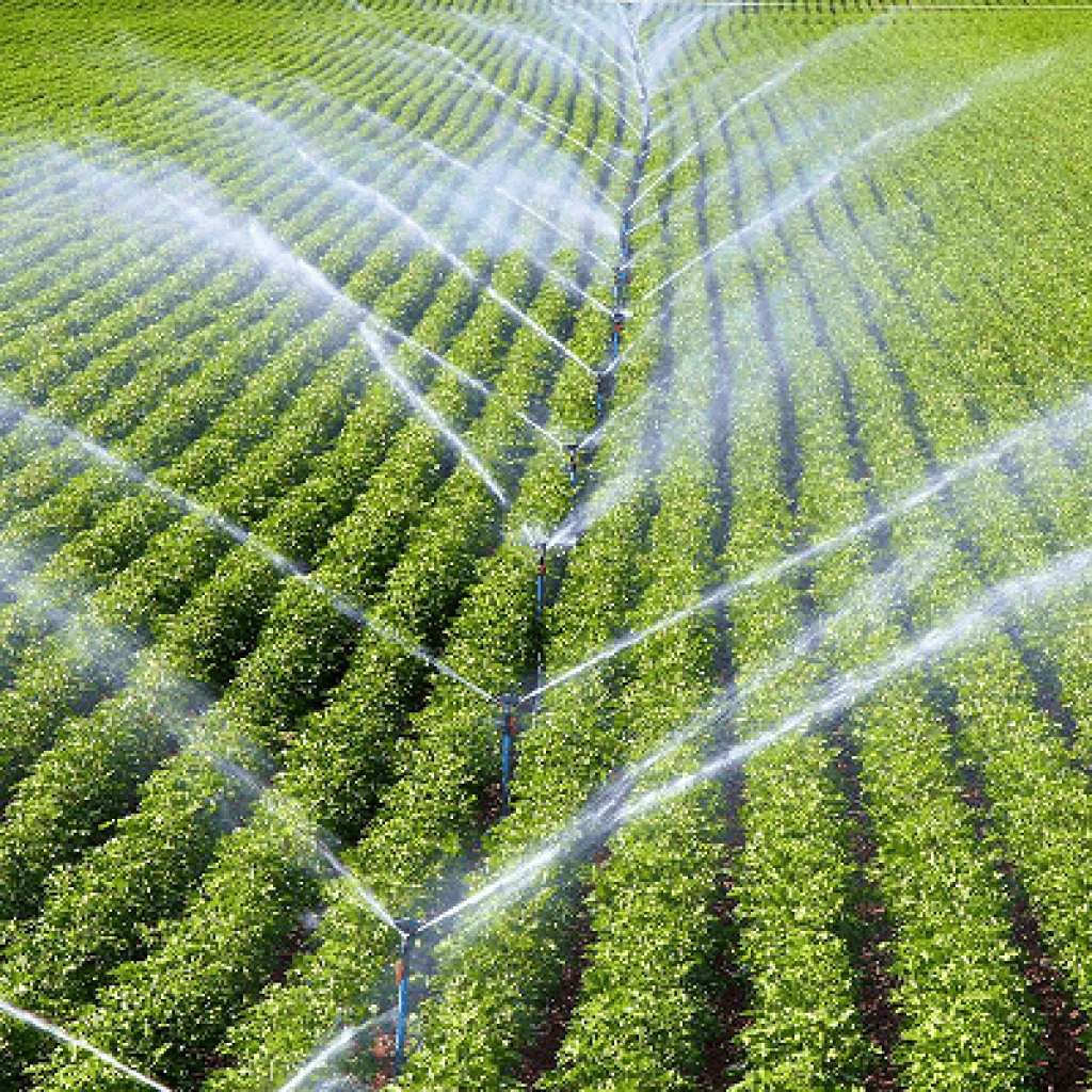 sprinkler irrigation 1024x1024 - کود آمینواسید