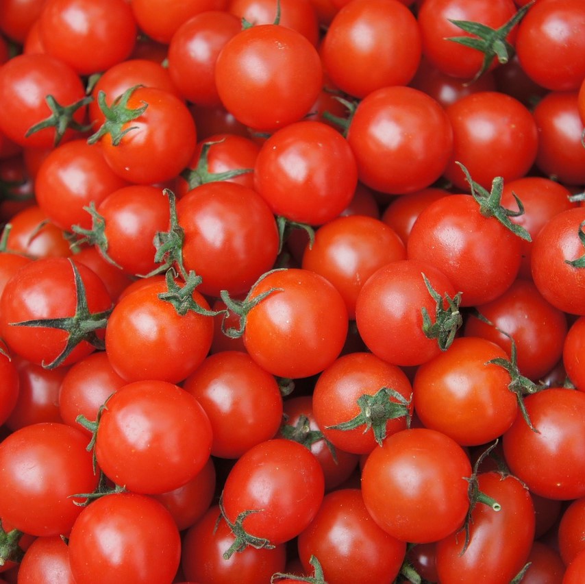 cherry tomato 4330441 1280 - ترکیبات طلایی